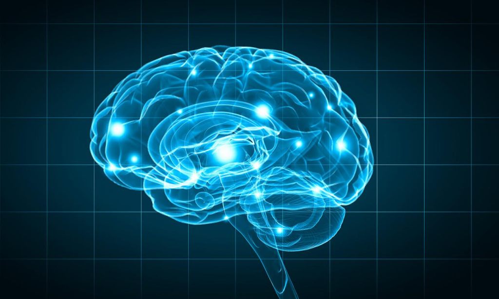 On the Relationship Between Intelligence and Political Views: A Look at Research Plus&nbsp;Speculation